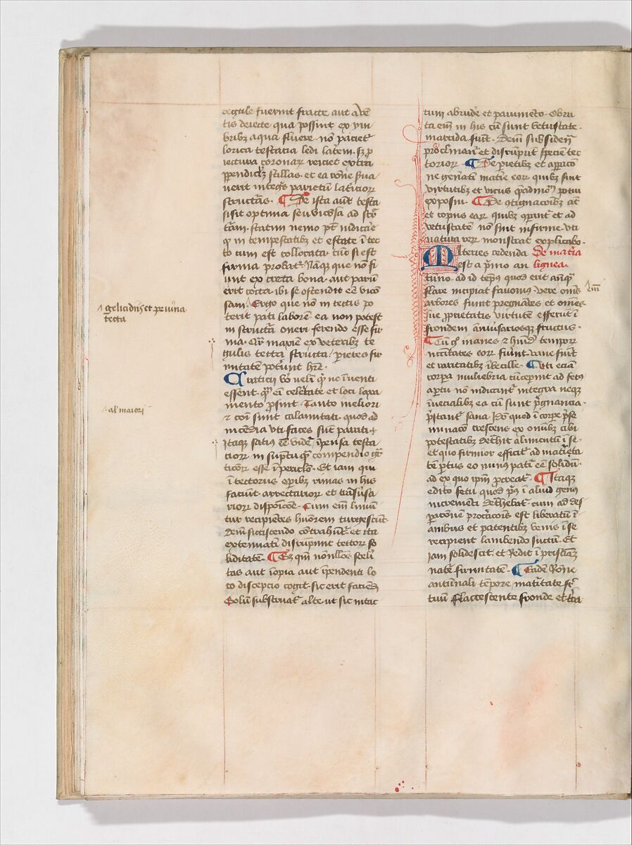 De Architectura, Marcus Pollio Vitruvius (Roman, active late 1st century BCE), Manuscript; brownish black ink and red and blue pigments on vellum