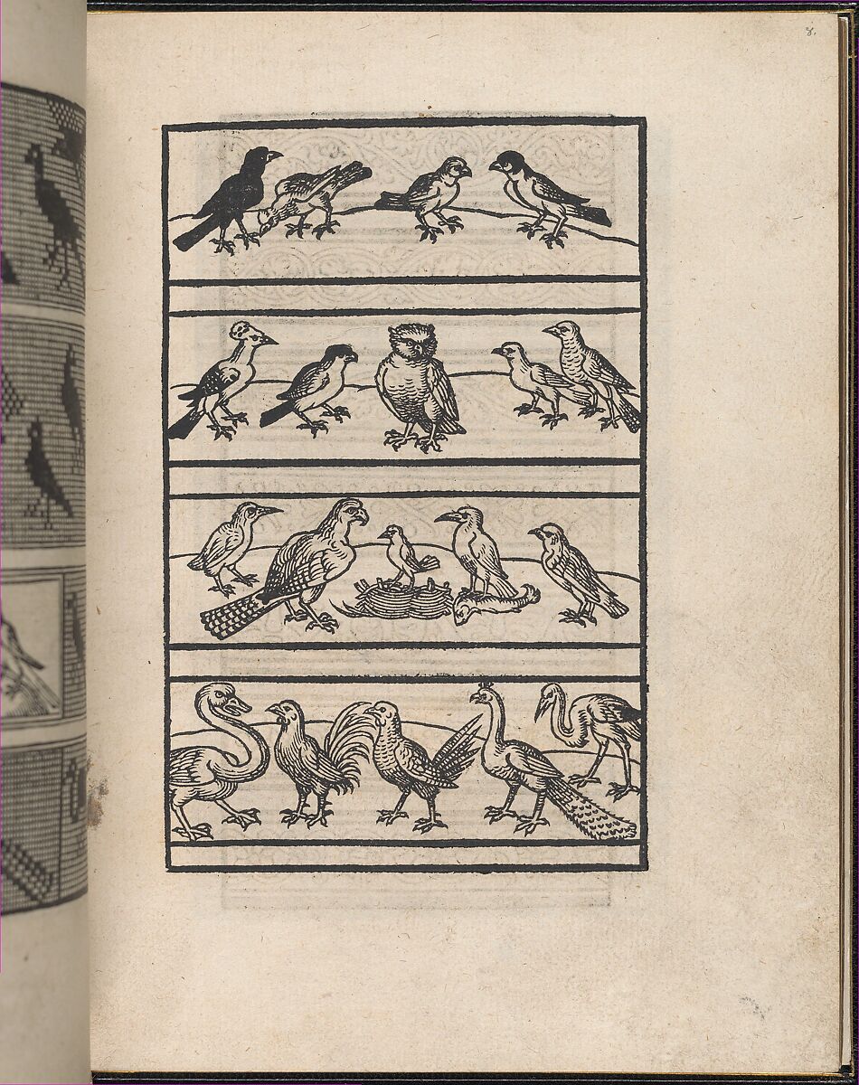 Ein new kunstlich Modelbuch..., Peter Quentel (German, active Cologne, 1518–46)  , Cologne, Woodcut