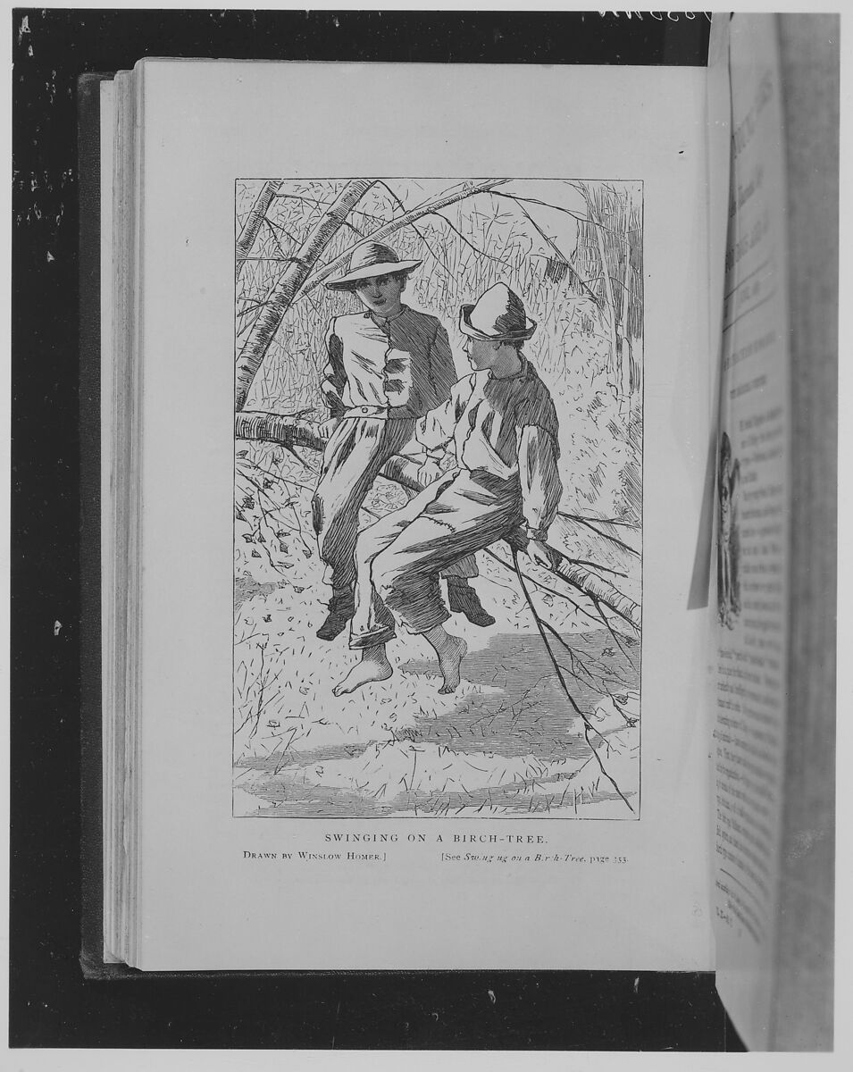 Our Young Folks, an Illustrated Magazine for Boys and Girls, Vol. III, Nos. I-XII, John Townsend Trowbridge (American, Ogden, New York 1827–1916), Illustrations: steel engraving, wood engraving, color wood engraving 