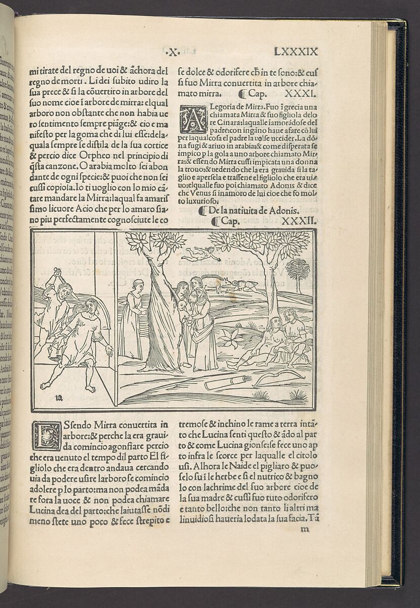Methamorphoseos vulgare, Ovid (Roman, Sulmo 43 BCE–17 CE Tomis, Moesia), Printed book with woodcut illustrations