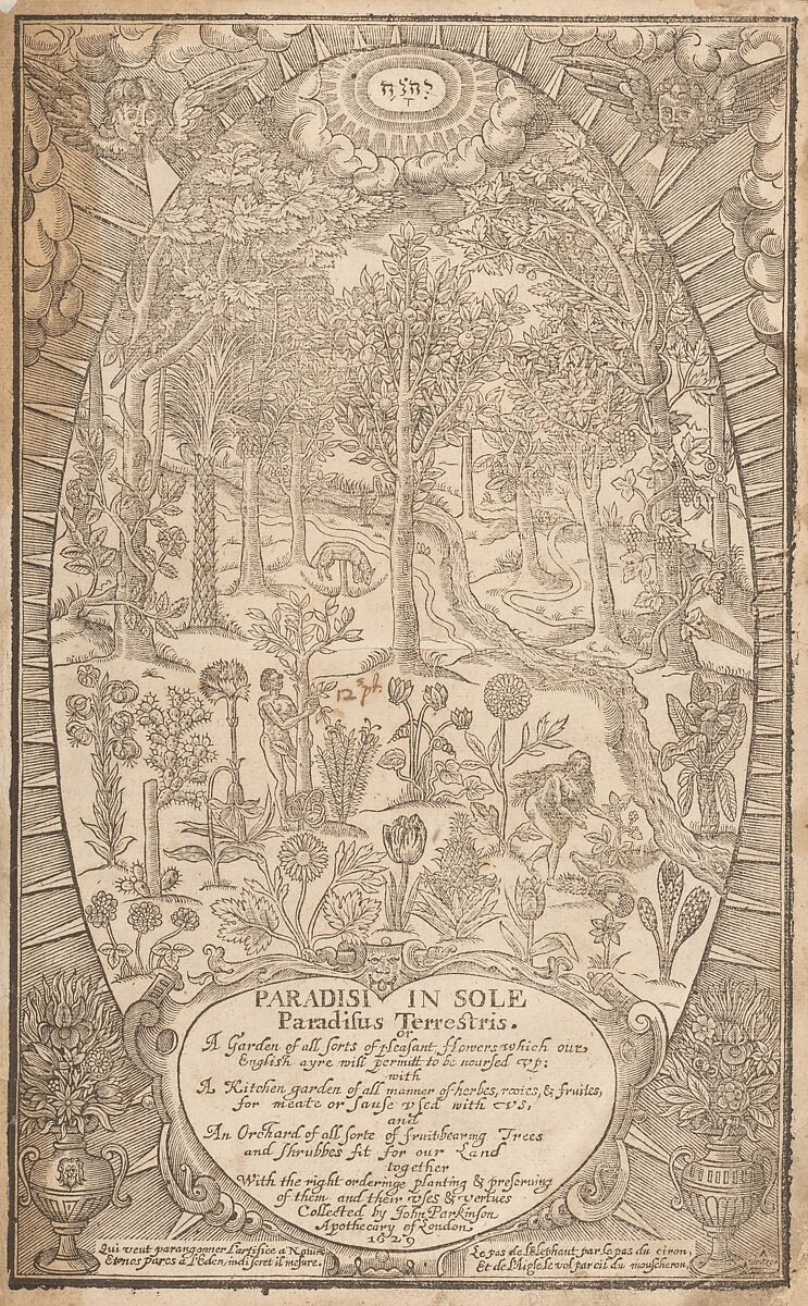 Paradisi in Sole. Paradisus Terrestris, John Parkinson (British, 1567–1650), Illustrations: woodcut 