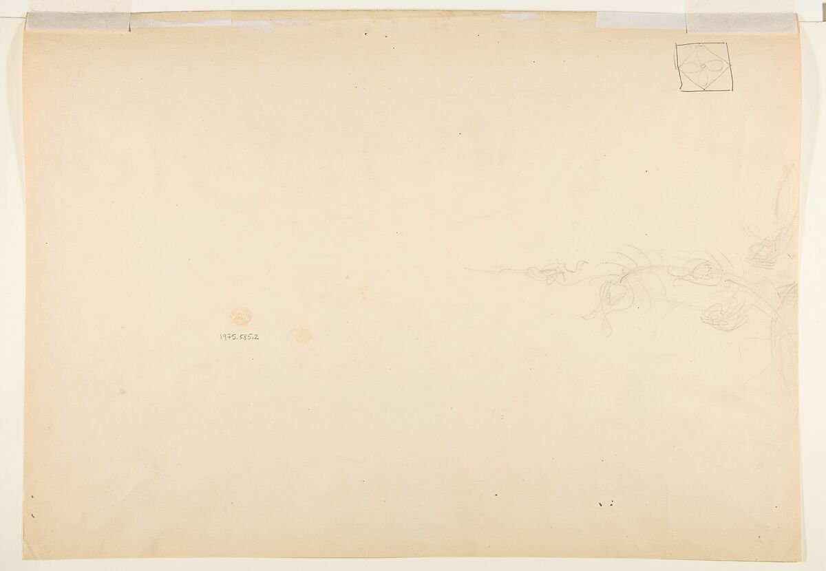 Design with Flowers, Anonymous, French, 19th century, Watercolor over graphite