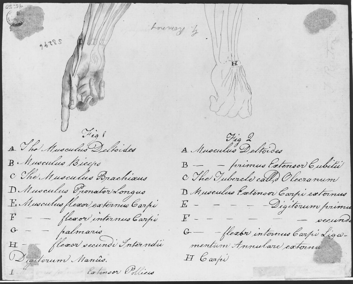 L'Art de Tourner, ou de faire en perfection toutes sortes d'ouvrages au tour, Written by Charles Plumier, Engraving