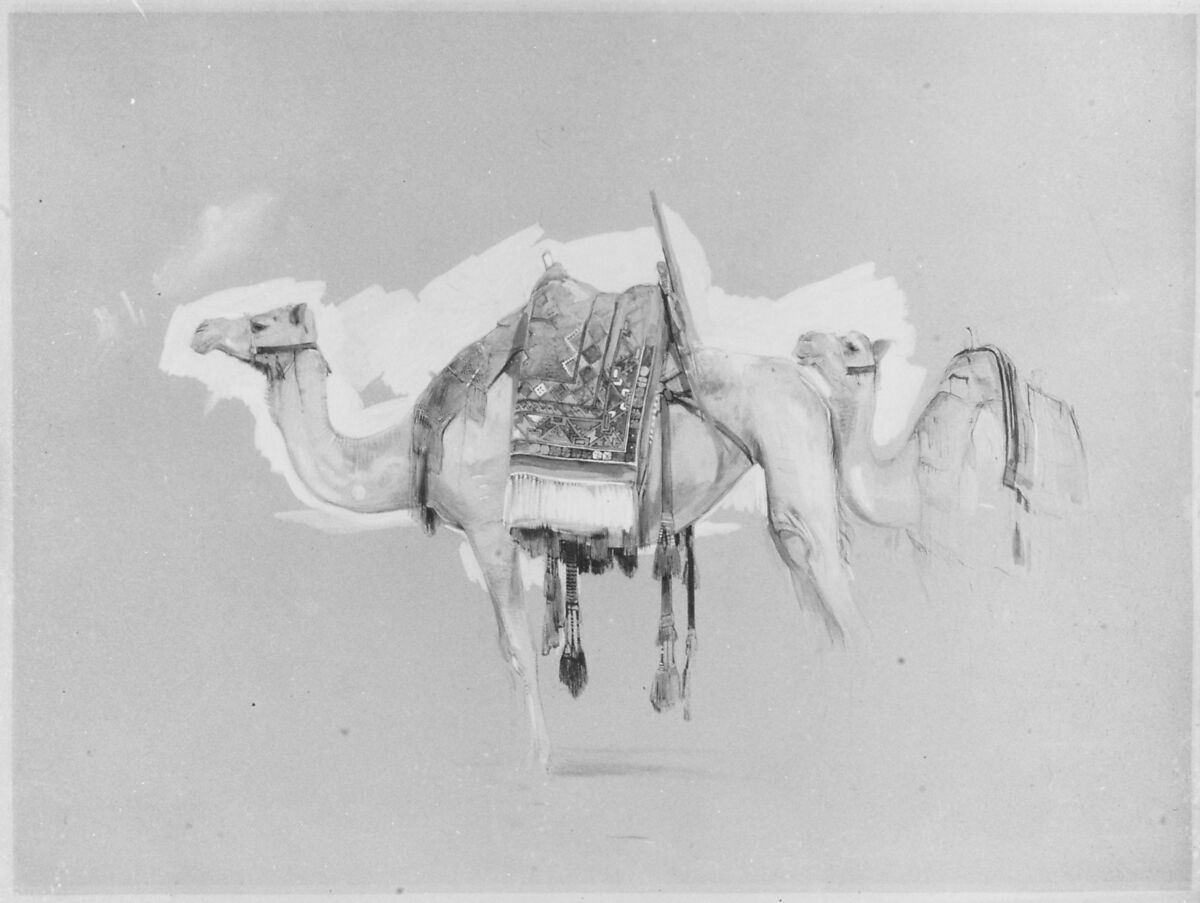 Two Camels, John Frederick Lewis (British, London 1804–1876 Walton-on-Thames), Watercolor and  gouache (bodycolor) over black chalk on brownish paper