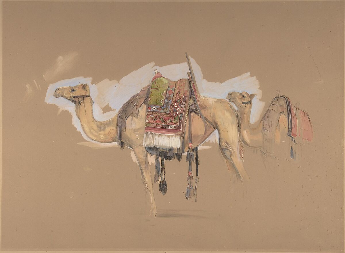 Two Camels, John Frederick Lewis (British, London 1804–1876 Walton-on-Thames), Watercolor and  gouache (bodycolor) over black chalk on brownish paper 