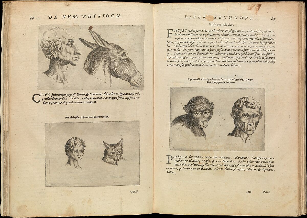 De Humana Physiognomonia. Libri III, Written by Giovanni Battista della Porta (Italian, 1538–1615), Letterpress text with engraved illustrations 