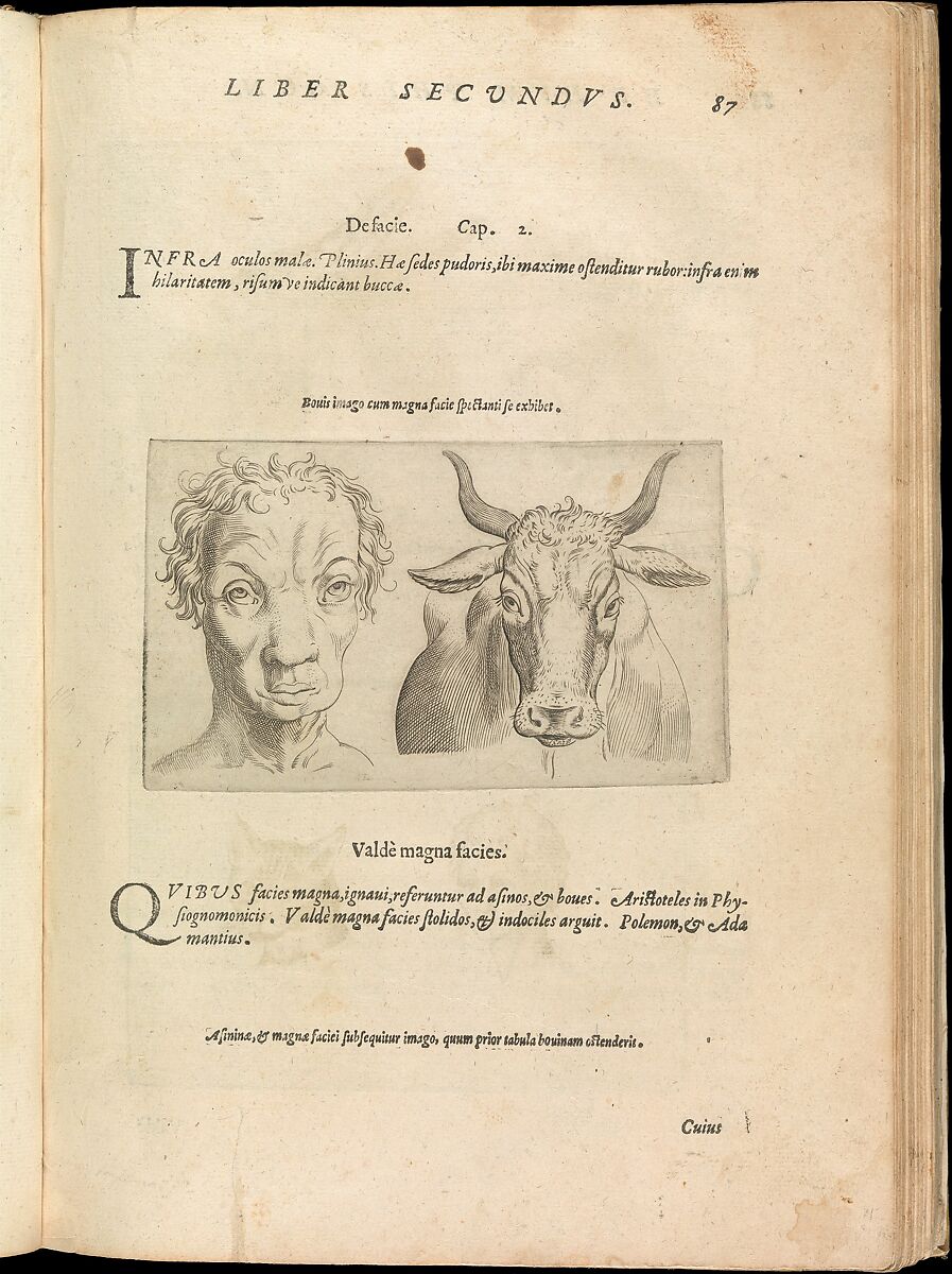De Humana Physiognomonia. Libri III, Written by Giovanni Battista della Porta (Italian, 1538–1615), Letterpress text with engraved illustrations