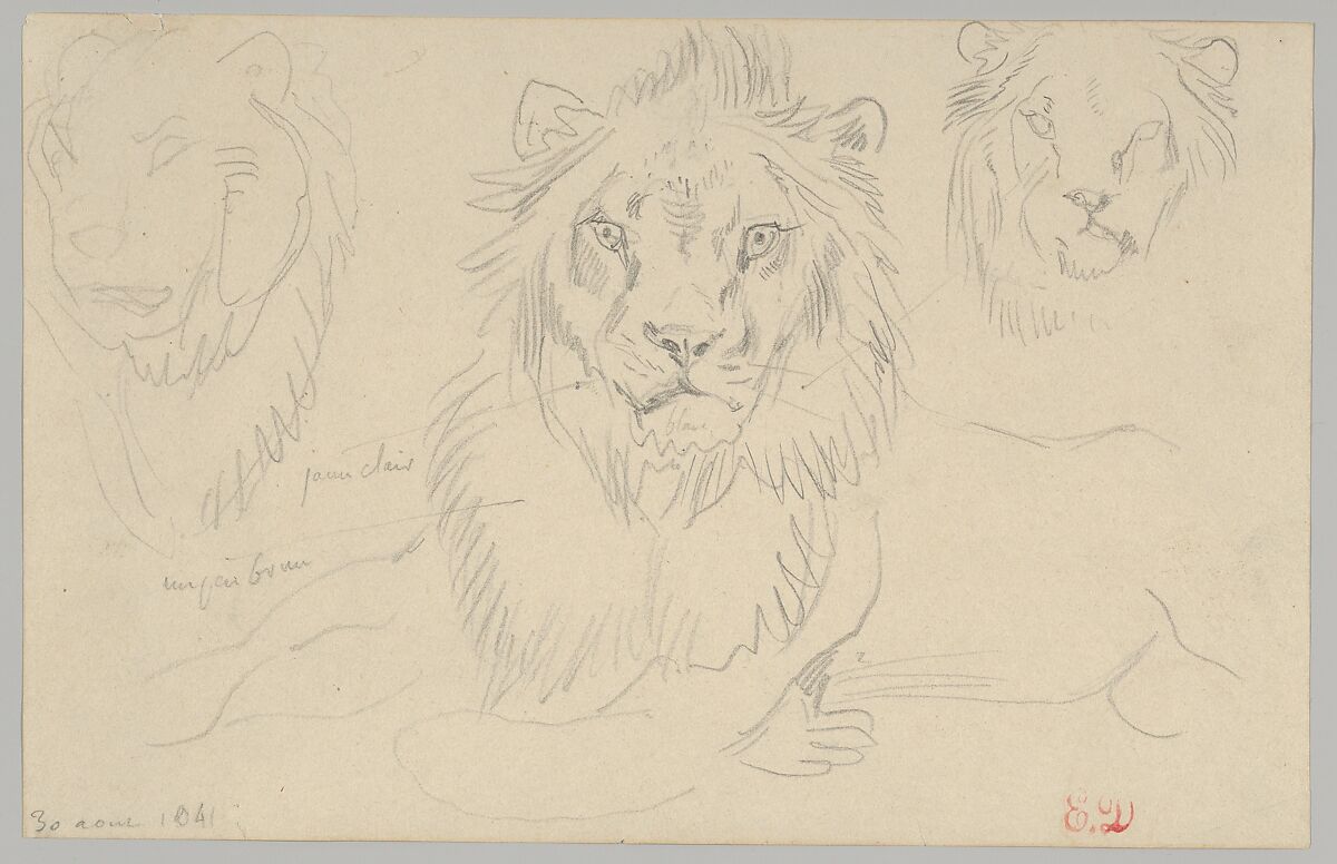 A Lion, Full Face, August 30, 1841, Eugène Delacroix (French, Charenton-Saint-Maurice 1798–1863 Paris), Graphite 