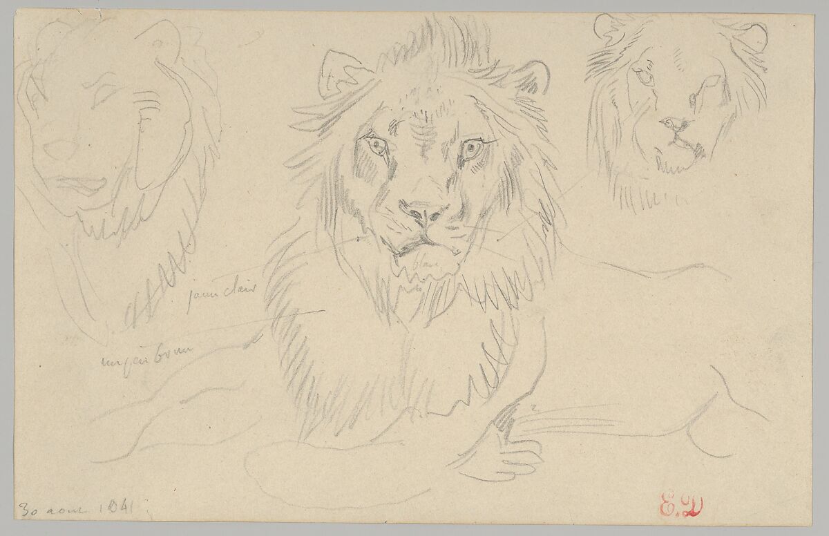 A Lion, Full Face, August 30, 1841, Eugène Delacroix  French, Graphite