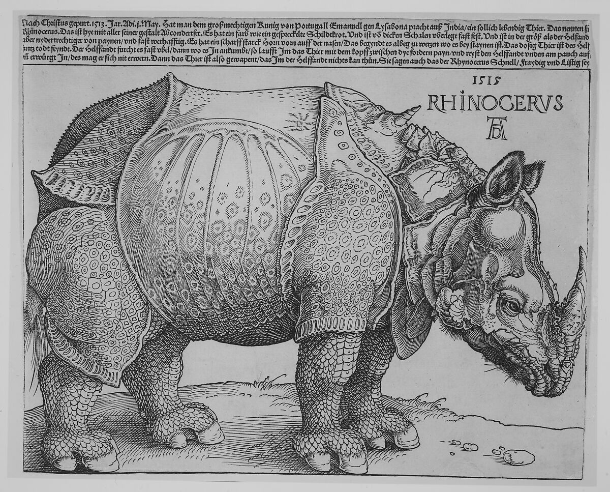 The Rhinoceros, Albrecht Dürer (German, Nuremberg 1471–1528 Nuremberg), Woodcut