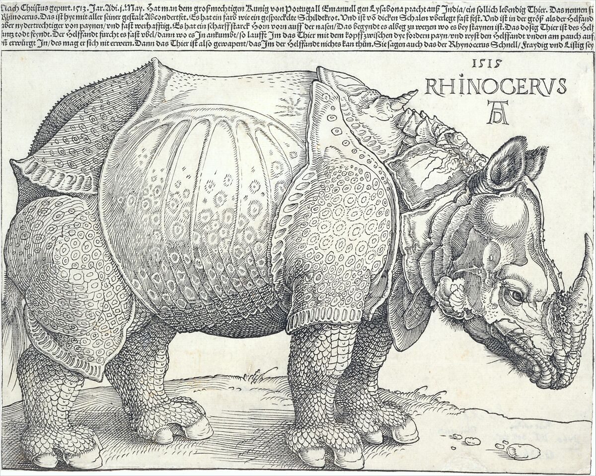 The Rhinoceros, Albrecht Dürer (German, Nuremberg 1471–1528 Nuremberg), Woodcut 