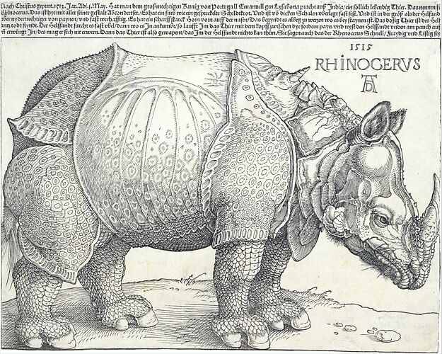 The Rhinoceros