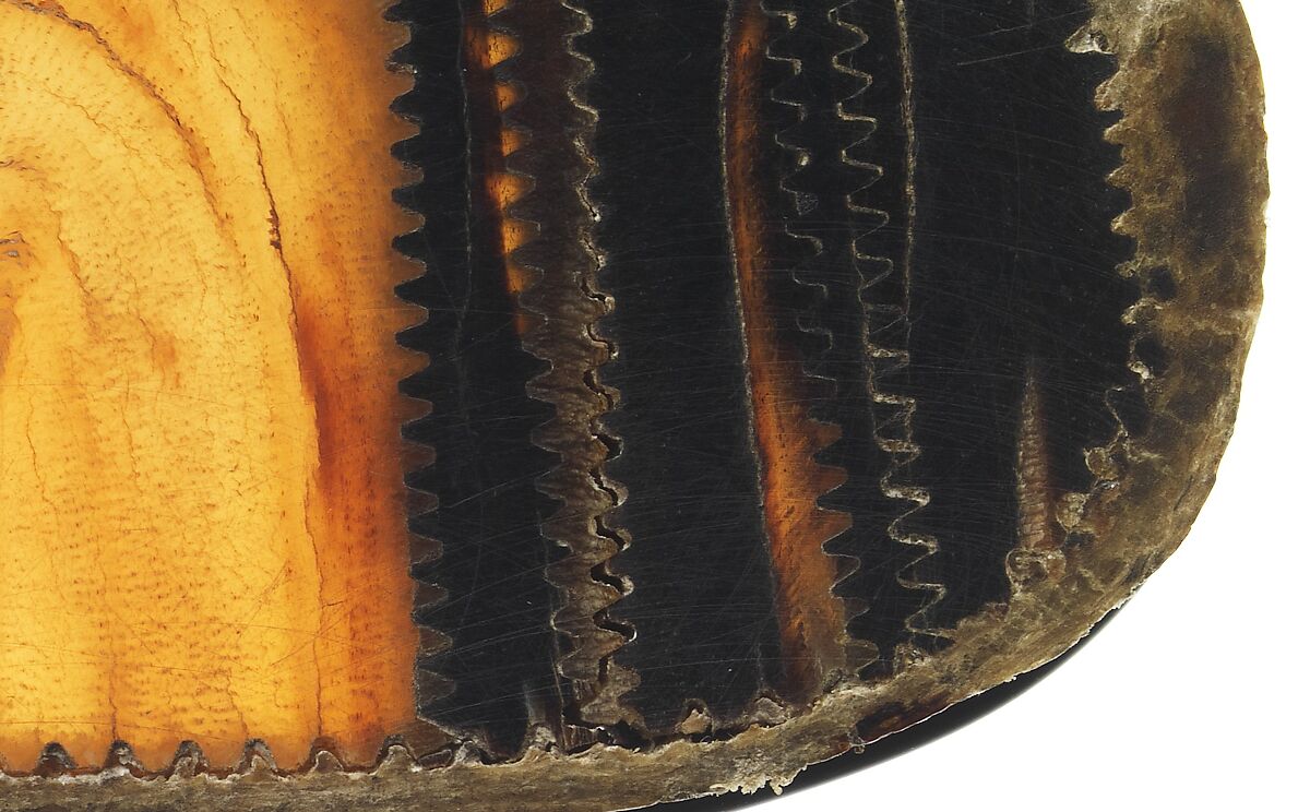 Section of a Composite Bow from a Crossbow, Baleen, horn, tendon, bark (birch), European