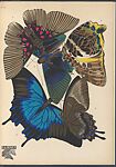 Papillons: vingt planches en phototypie coloriées au patron donnant 81 papillons et 16 compositions décoratives, Designed by Emile-Allain Séguy (French, 1877–1951), Lithographs and pochoir
