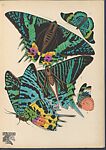 Papillons: vingt planches en phototypie coloriées au patron donnant 81 papillons et 16 compositions décoratives, Designed by Emile-Allain Séguy (French, 1877–1951), Lithographs and pochoir