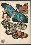 Papillons: vingt planches en phototypie coloriées au patron donnant 81 papillons et 16 compositions décoratives, Designed by Emile-Allain Séguy (French, 1877–1951), Lithographs and pochoir