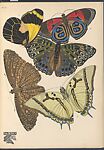 Papillons: vingt planches en phototypie coloriées au patron donnant 81 papillons et 16 compositions décoratives, Designed by Emile-Allain Séguy (French, 1877–1951), Lithographs and pochoir