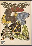 Papillons: vingt planches en phototypie coloriées au patron donnant 81 papillons et 16 compositions décoratives, Designed by Emile-Allain Séguy (French, 1877–1951), Lithographs and pochoir