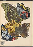 Papillons: vingt planches en phototypie coloriées au patron donnant 81 papillons et 16 compositions décoratives, Designed by Emile-Allain Séguy (French, 1877–1951), Lithographs and pochoir