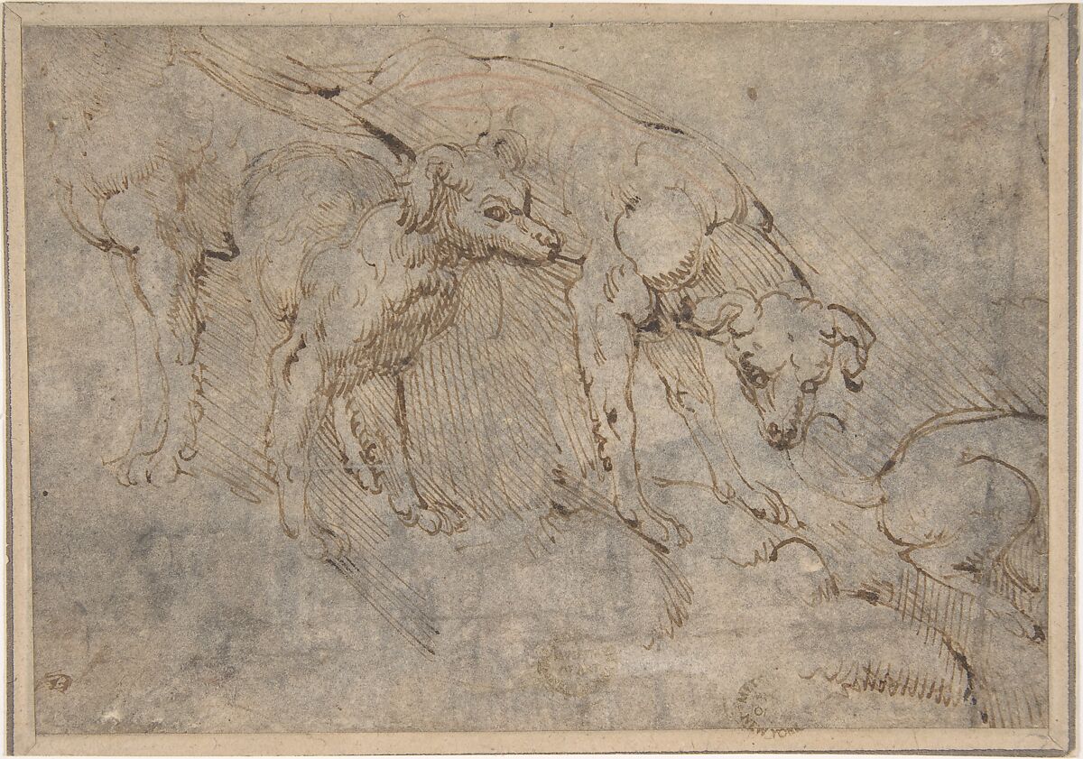 Studies of a Dog, Anonymous, Netherlandish, 16th century, Pen and bistre over faint red chalk 