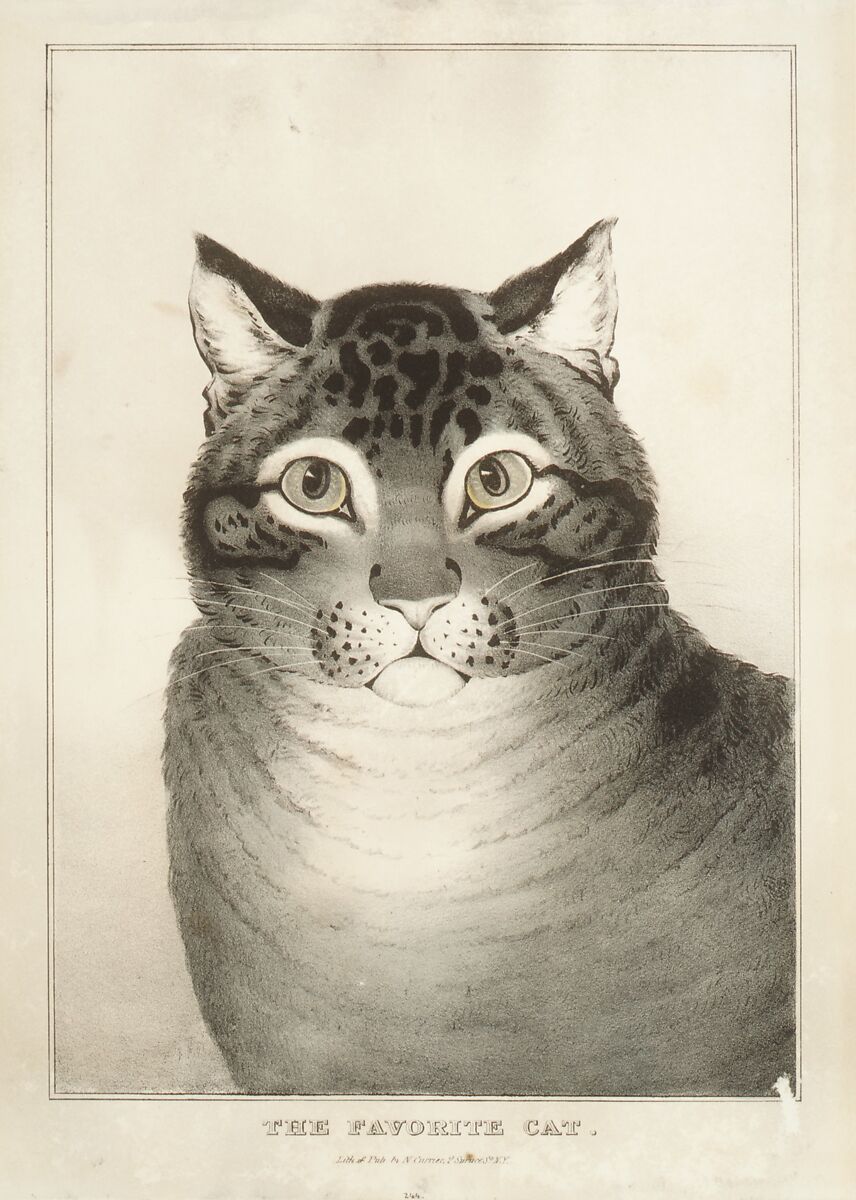 The Favorite Cat, Lithographed and published by Nathaniel Currier (American, Roxbury, Massachusetts 1813–1888 New York), Hand-colored lithograph