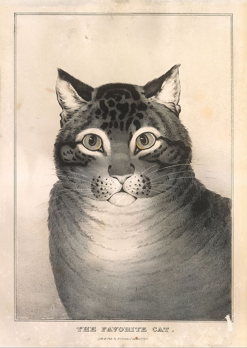 The Favorite Cat, Lithographed and published by Nathaniel Currier (American, Roxbury, Massachusetts 1813–1888 New York), Hand-colored lithograph 