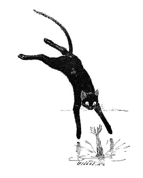 Cats: Pictures without Words, Théophile-Alexandre Steinlen (French (born Switzerland), Lausanne 1859–1923 Paris), Photorelief etchings