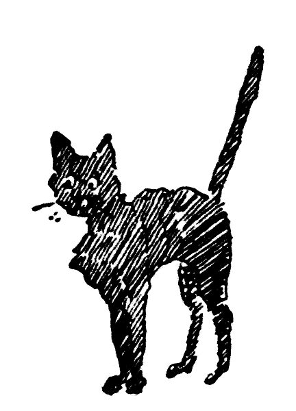 Cats: Pictures without Words, Théophile-Alexandre Steinlen (French (born Switzerland), Lausanne 1859–1923 Paris), Photorelief etchings