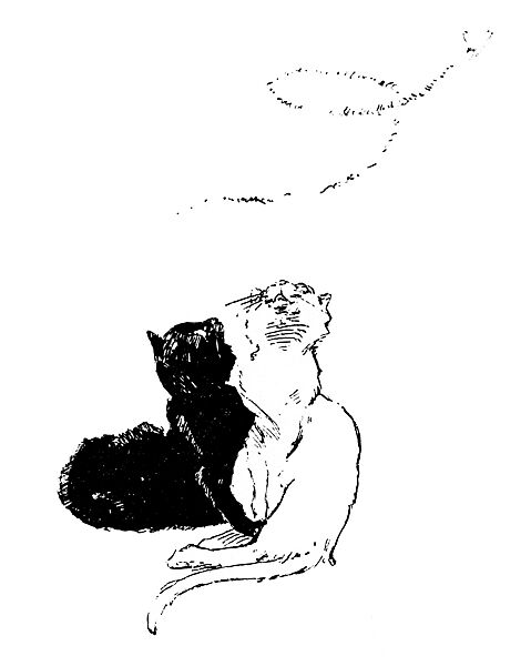 Cats: Pictures without Words, Théophile-Alexandre Steinlen (French (born Switzerland), Lausanne 1859–1923 Paris), Photorelief etchings