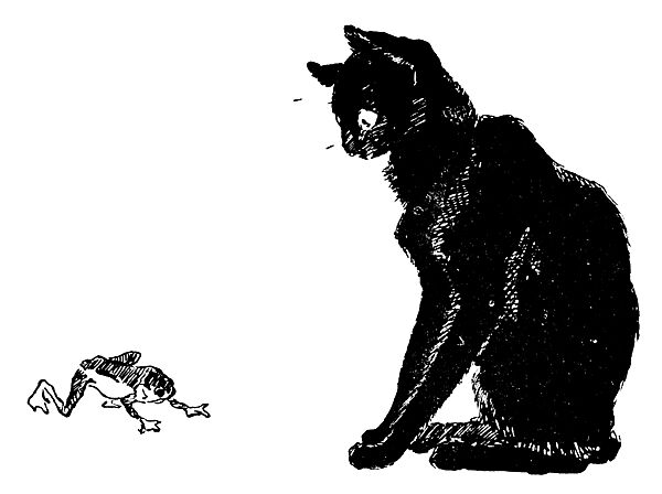 Cats: Pictures without Words, Théophile-Alexandre Steinlen (French (born Switzerland), Lausanne 1859–1923 Paris), Photorelief etchings