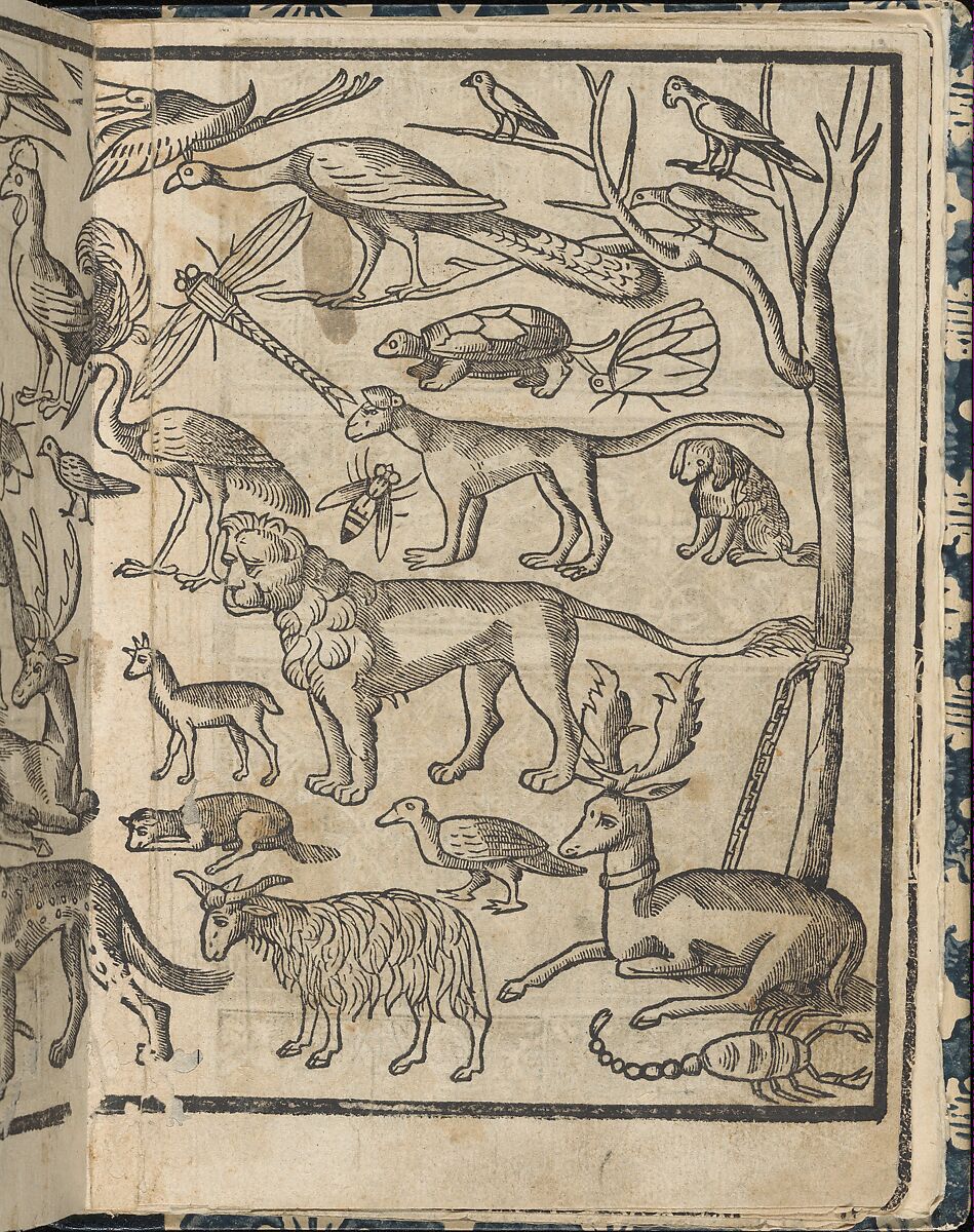 Essempio di recammi, Giovanni Antonio Tagliente (Italian, Venice ca. 1465–1528 Venice), Woodcut