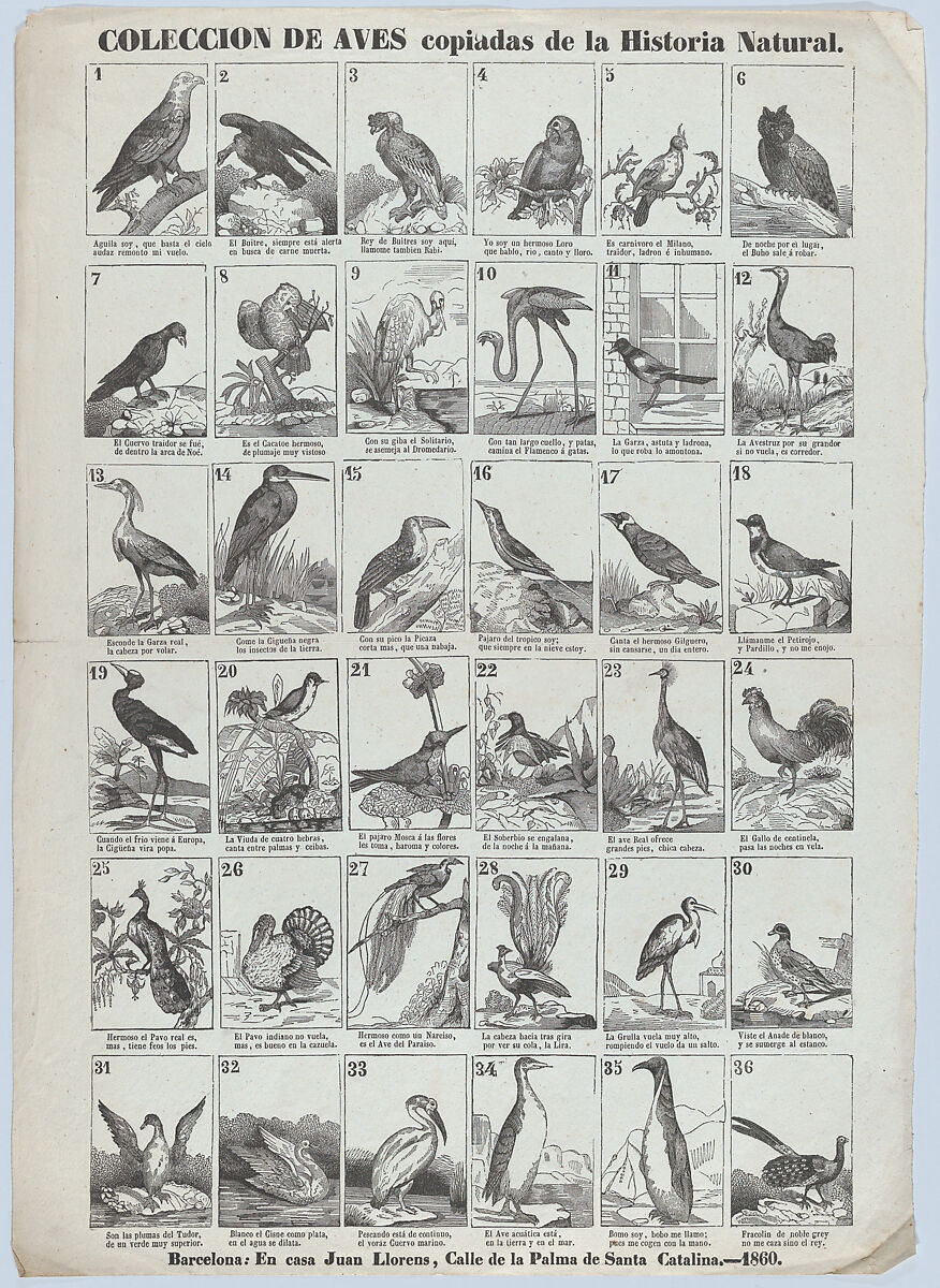 Broadside with images of 36 birds, Juan Llorens (Spanish, active Barcelona, ca. 1855–70), Wood engraving 