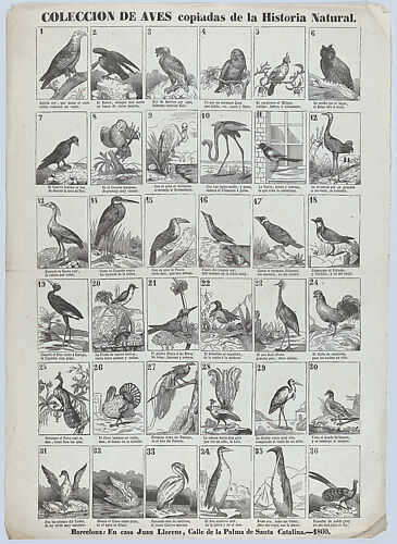 Broadside with images of 36 birds