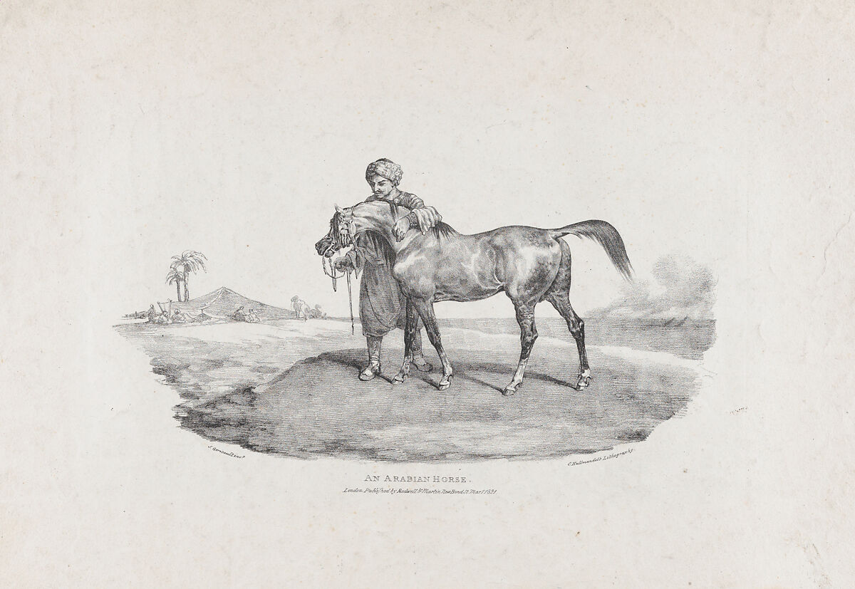An Arabian Horse, Théodore Gericault (French, Rouen 1791–1824 Paris), Lithograph 