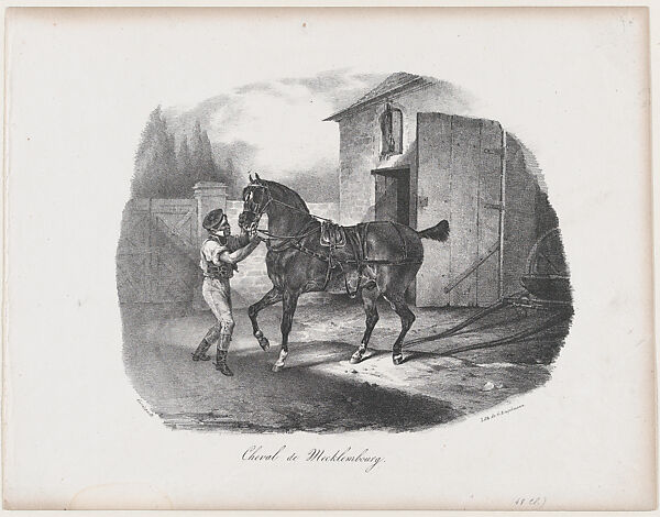The Horse of Mecklembourg
