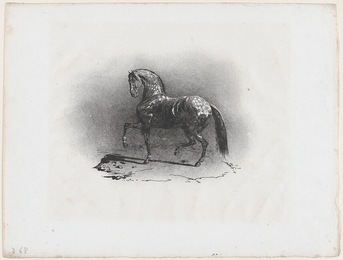 Dappled Horse, Théodore Gericault (French, Rouen 1791–1824 Paris), Lithograph 