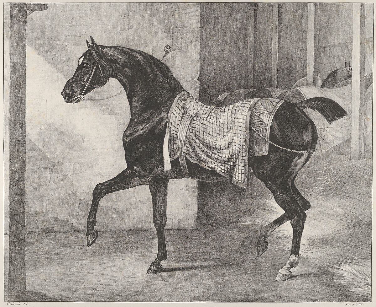 Black Horse Tethered in a Stable, Théodore Gericault (French, Rouen 1791–1824 Paris), Lithograph 