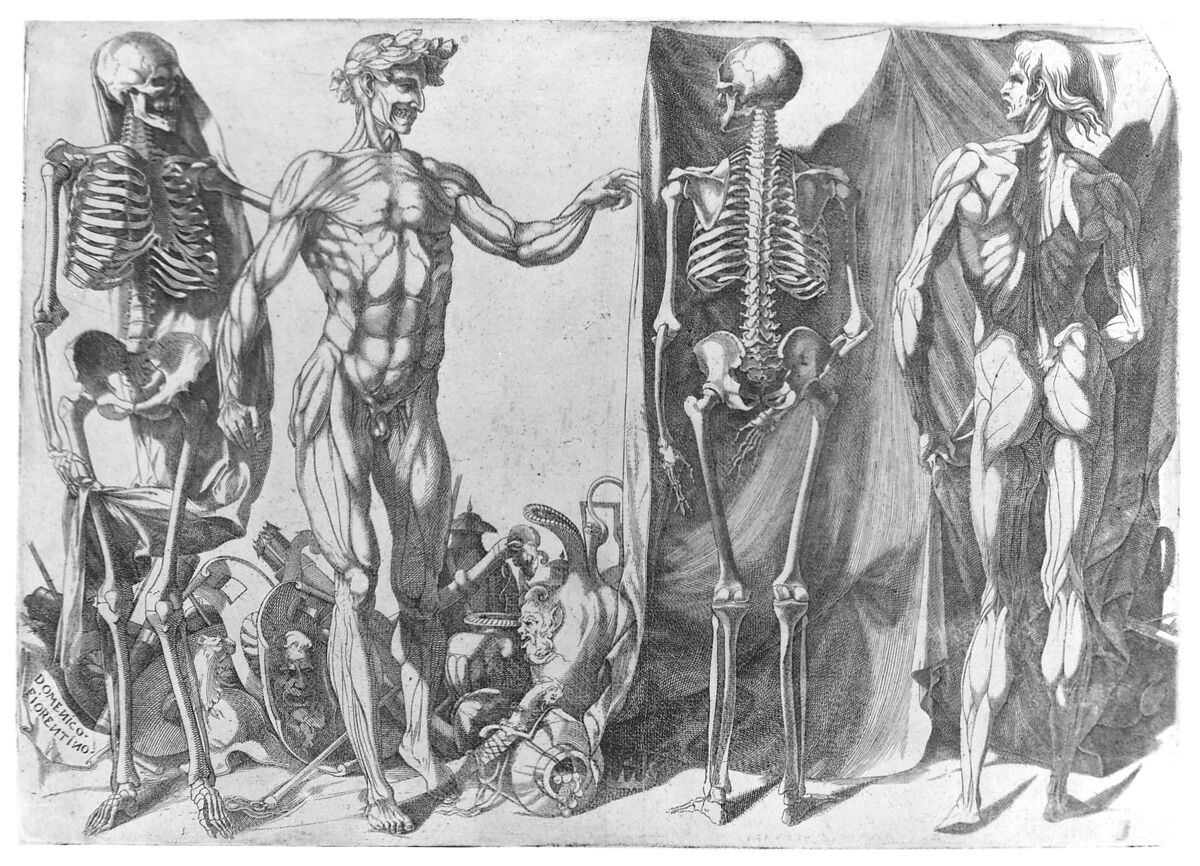 Two Flayed Men and Their Skeletons, Domenico del Barbiere (Italian, Florence (?) 1506–1565 Paris), Engraving