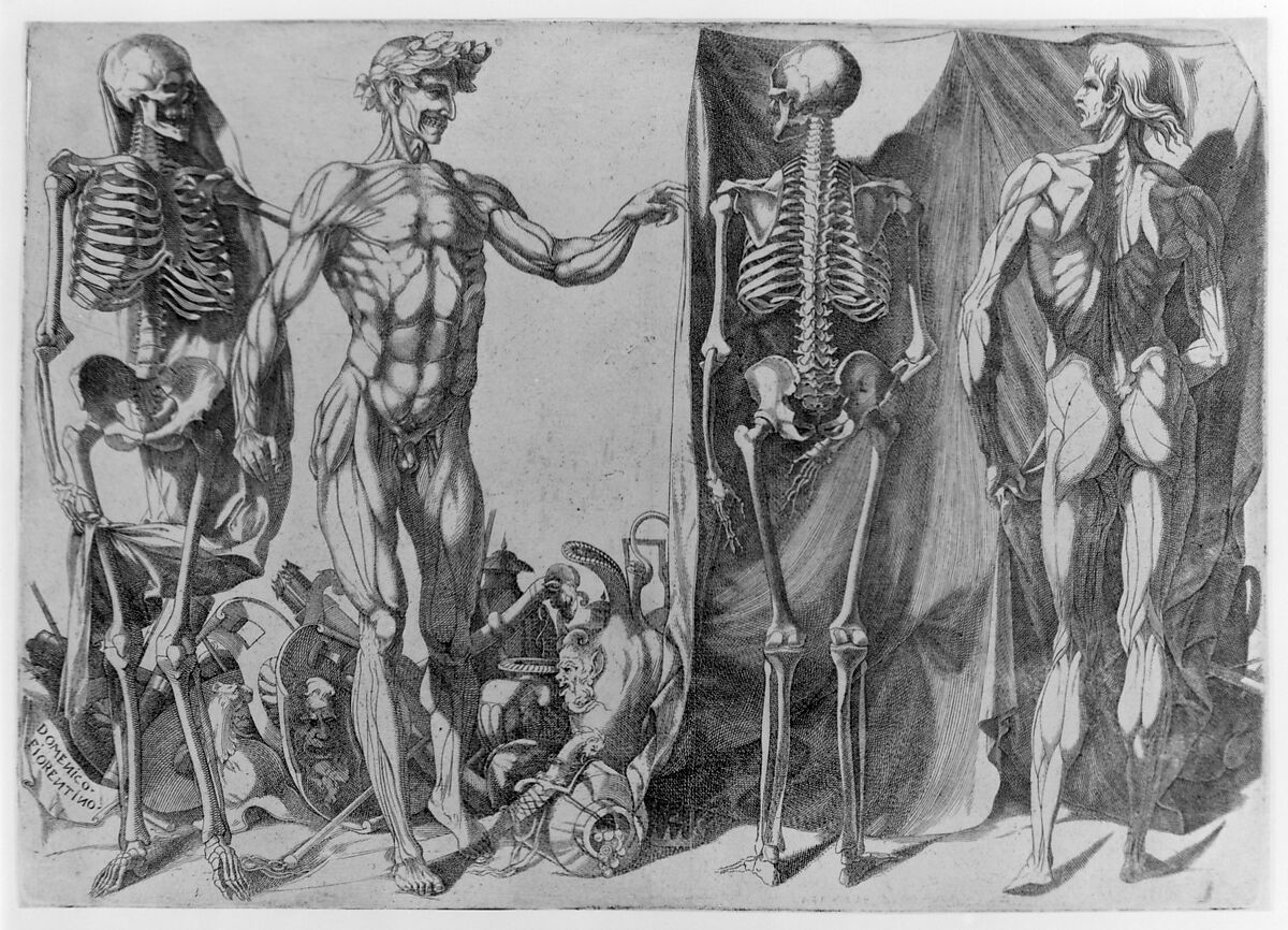Two Flayed Men and Their Skeletons, Domenico del Barbiere (Italian, Florence (?) 1506–1565 Paris), Engraving
