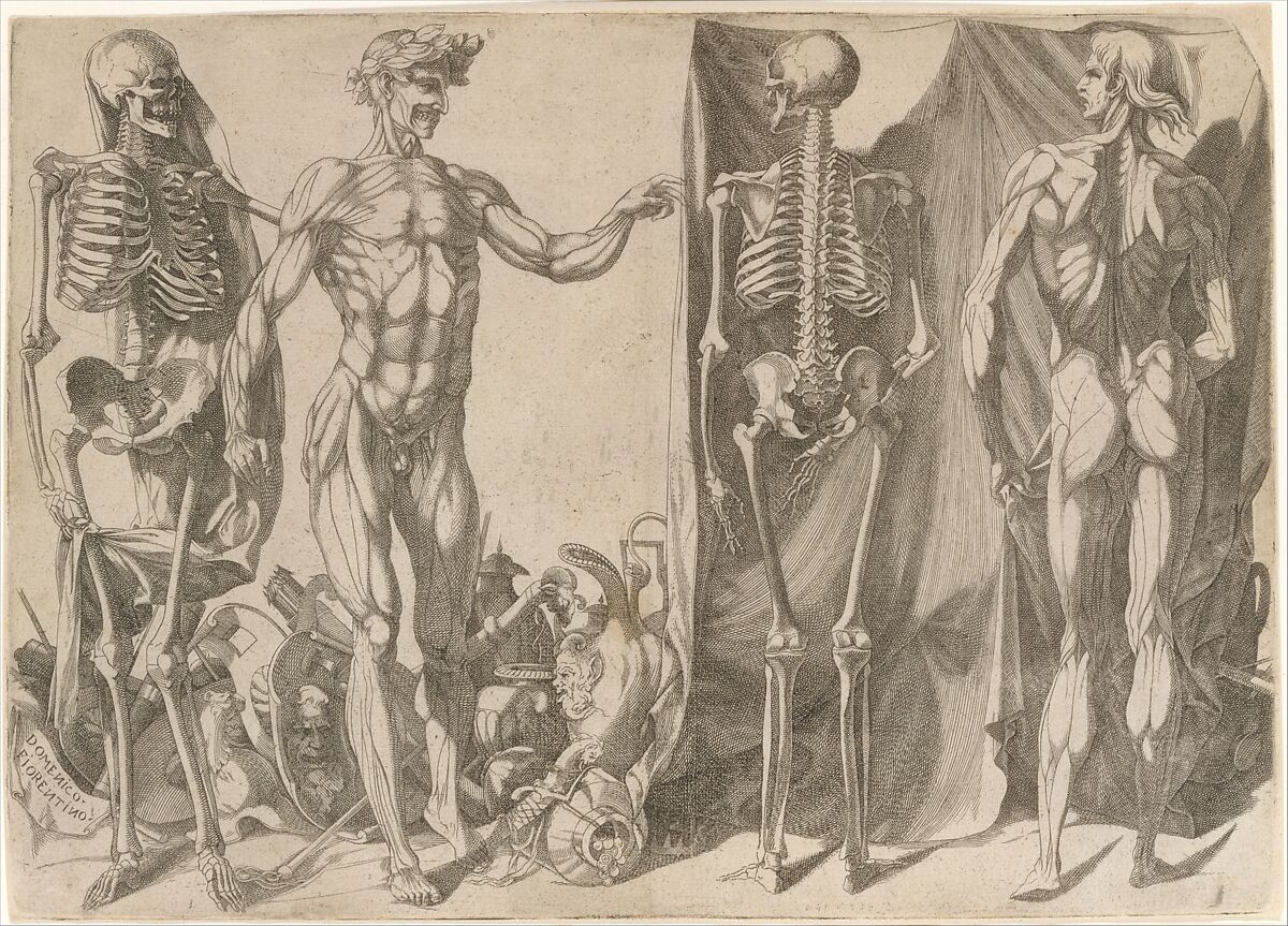 Two Flayed Men and Their Skeletons, Domenico del Barbiere (Italian, Florence (?) 1506–1565 Paris), Engraving