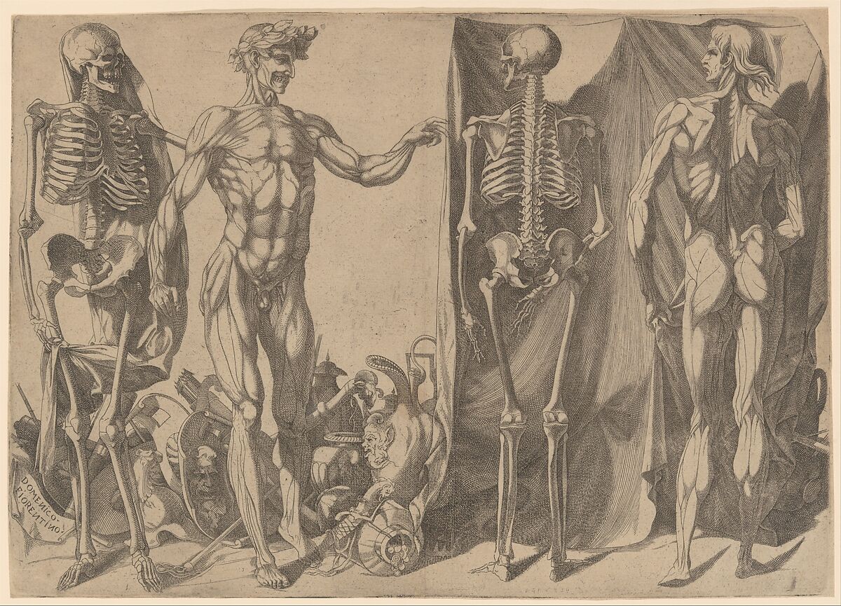 Two Flayed Men and Their Skeletons, Domenico del Barbiere (Italian, Florence (?) 1506–1565 Paris), Engraving 