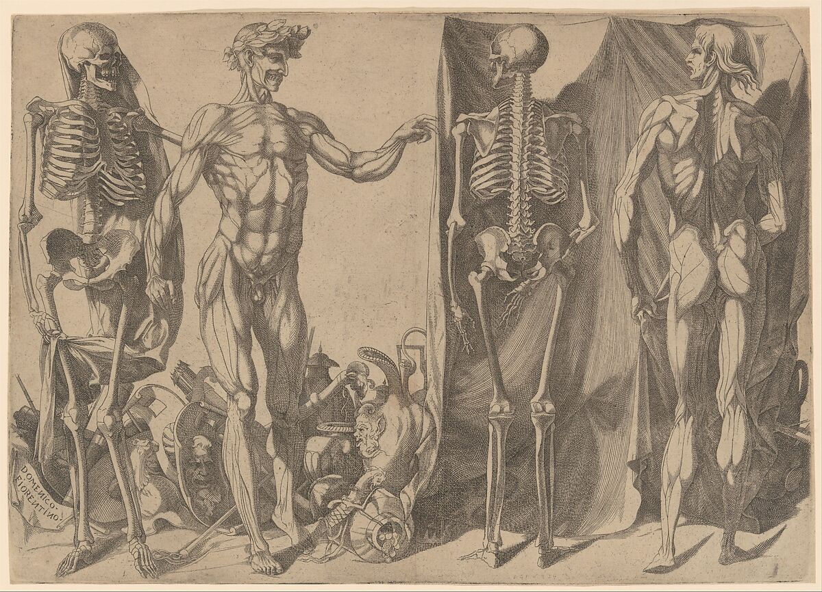 Two Flayed Men and Their Skeletons, Domenico del Barbiere  Italian, Engraving