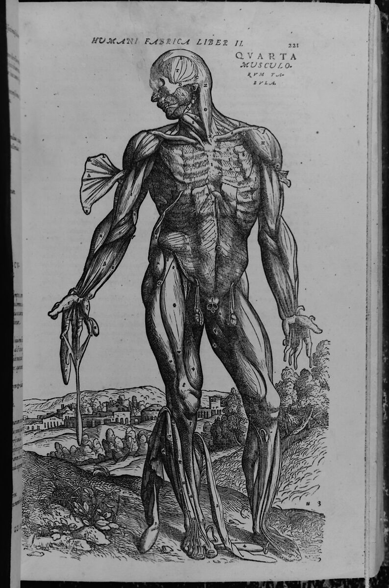 De humani corporis fabrica (Of the Structure of the Human Body), Andreas Vesalius (Flemish, Brussels 1514–1564 Zakynthos, Greece), Woodcut