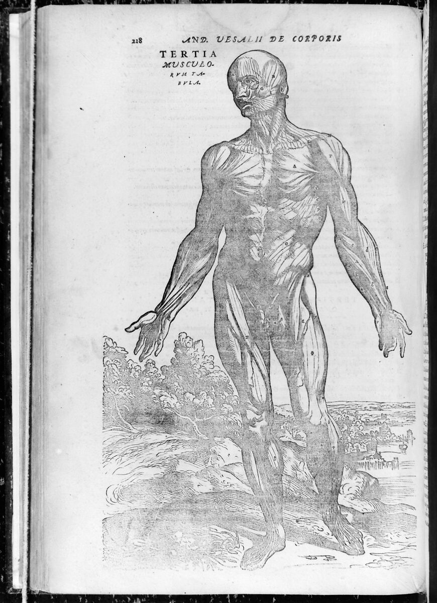 De humani corporis fabrica (Of the Structure of the Human Body), Andreas Vesalius (Flemish, Brussels 1514–1564 Zakynthos, Greece), Woodcut