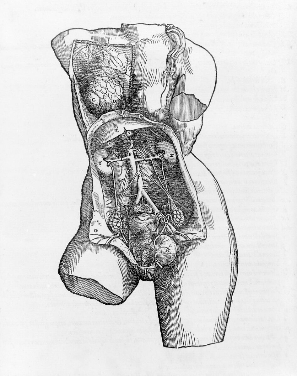 De humani corporis fabrica (Of the Structure of the Human Body), Andreas Vesalius (Flemish, Brussels 1514–1564 Zakynthos, Greece), Woodcut