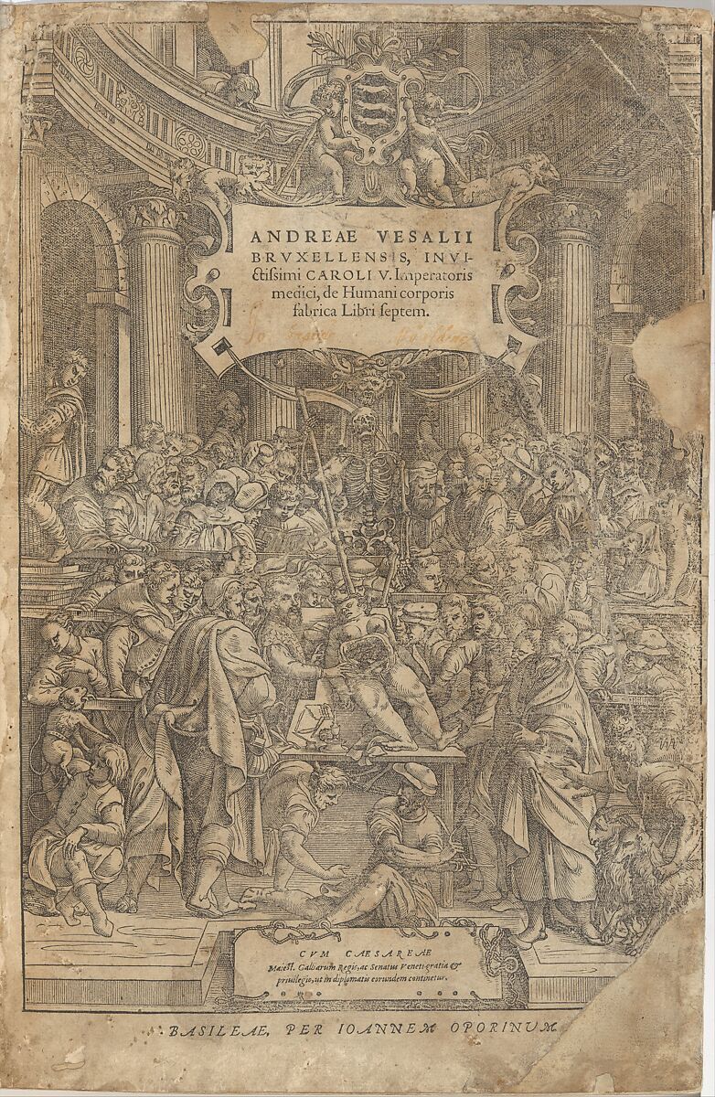 De humani corporis fabrica (Of the Structure of the Human Body), Andreas Vesalius (Flemish, Brussels 1514–1564 Zakynthos, Greece), Woodcut