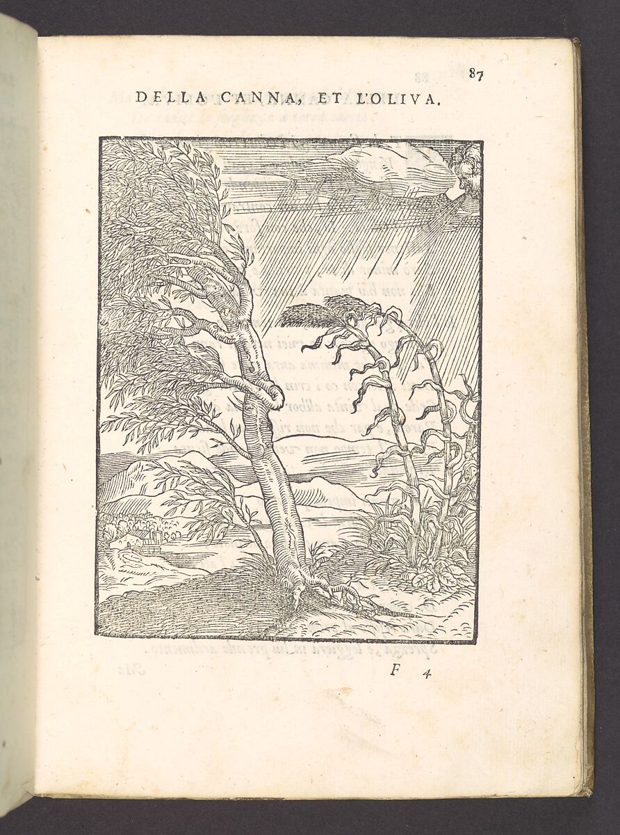 Cento Favole Morali (100 moral fables), Giovanni Maria Verdizotti (Italian, Venice 1525–1600 Venice), Printed book with woodcut illustrations