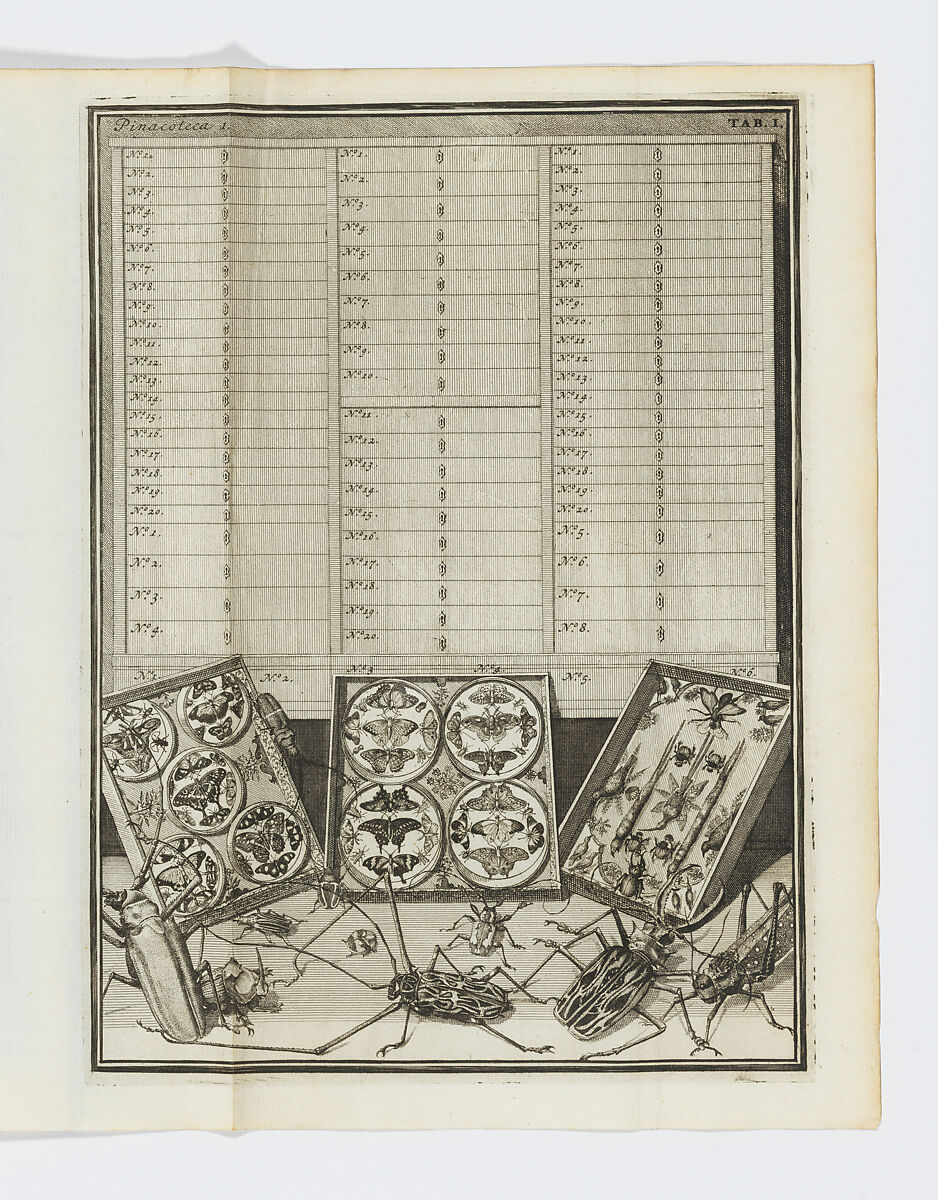 Wondertooneel der Nature, Written by Levinus Vincent, Vellum spine