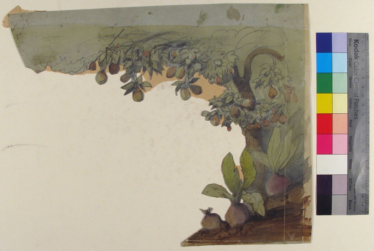 Design for a Stage Set at the Opéra, Paris, Eugène Cicéri (French, Paris 1813–1890 Fontainebleau), Watercolor over graphite