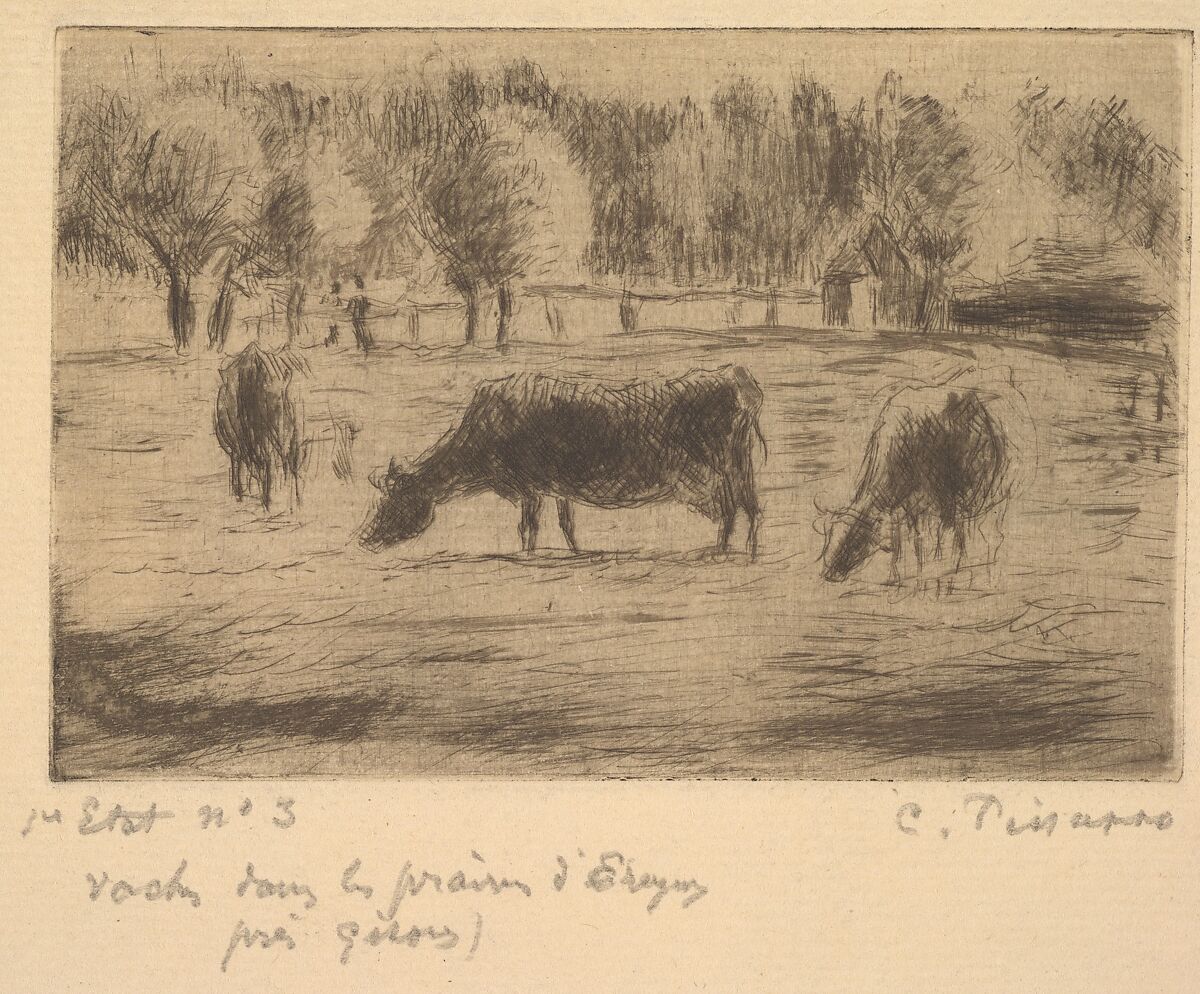 Cows in the Fields of Éragny, near Gisors, Camille Pissarro (French, Charlotte Amalie, Saint Thomas 1830–1903 Paris), Drypoint on laid paper; first state of two 